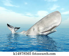 Sperm Whale Sperm Whale