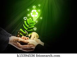 Sprout in hands Sprout in hands