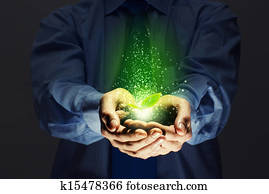 Sprout in hands Sprout in hands