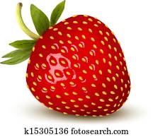 Strawberry. Vector. Strawberry. Vector.