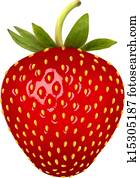 Strawberry. Vector. Strawberry. Vector.