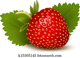 Strawberry with leaves . Vector. Strawberry with leaves . Vector.
