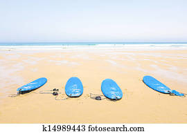 surfboards, praia