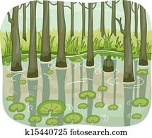 Swamp Swamp