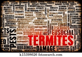 Termites Termites