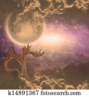 Tree and moonrise with misty clouds Tree and moonrise with misty clouds