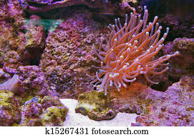 underwater underwater