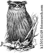 vogel, angler, eule vogel, angler, eule