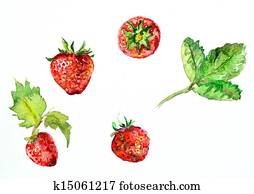 watercolor painting of strawberries watercolor painting of strawberries