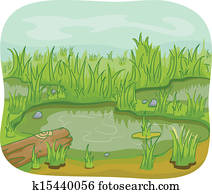Wetlands Wetlands