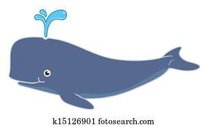 whale whale