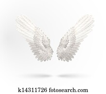 White wings White wings
