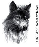 Wolf, illustration Wolf, illustration