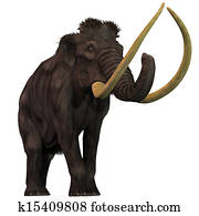 Woolly Mammoth on White Woolly Mammoth on White