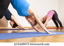 Yoga Exercise Yoga Exercise