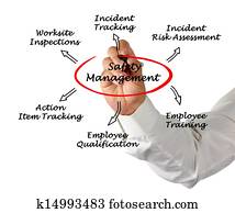 בטיחות, ניהול