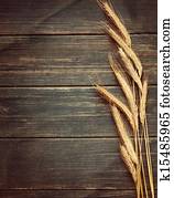 בציר, חיטה, רקע