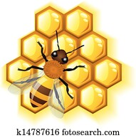 דבורה, עם, דבש