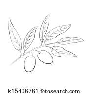 העבר, צייר, זית, branch.