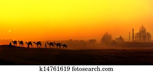 טאג' מאהל, שקיעה, הבט, ב, india., פנורמי, נוף, עם, גמלים, צלליות, ו, tajmahal, הודי, ארמון