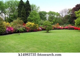 יפה, גזור, מדשאה, ב, a, קיץ, גן