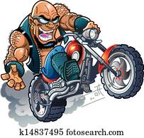 פראי, קירח, אופנוען, גנדרן