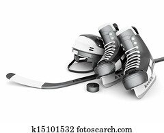 ציוד של הוקי