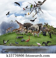 A Collage Of Wild Animals And Birds A Collage Of Wild Animals And Birds