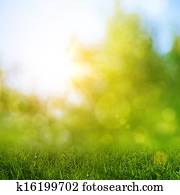 Abstract natural backgrounds with beauty bokeh
