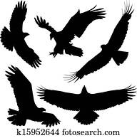 adler adler
