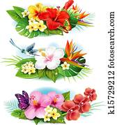 arranjo, de, flores tropicais