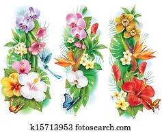 arranjo, de, flores tropicais, e, folhas