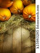 art thanksgiving pumpkins autumn background art thanksgiving pumpkins autumn background