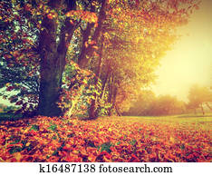 autumn,, נפול, נוף, בפרק