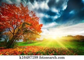 autumn,, נפול, נוף, בפרק