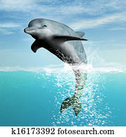 Bottlenose Dolphin Jumping Bottlenose Dolphin Jumping