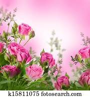 Bouquet of delicate roses, floral background Bouquet of delicate roses, floral background