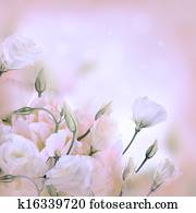 Bouquet of pink roses, floral background Bouquet of pink roses, floral background