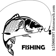 carp fish and bait carp fish and bait