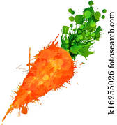 Carrot made of colorful splashes on white background Carrot made of colorful splashes on white background