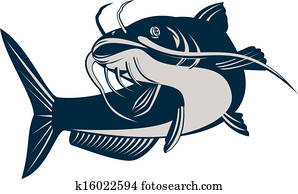 Catfish Jumping Catfish Jumping