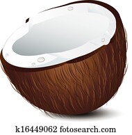 Coconut Half Coconut Half