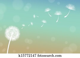 Dandelion Dandelion