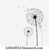 dandelion dandelion