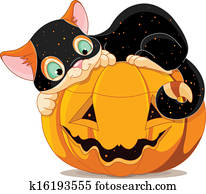 dia das bruxas, gatinho