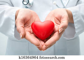 Doctor holding heart