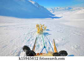 Dog sledding Dog sledding