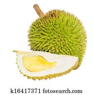 Durian Fruit