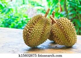 Durian Tropical fruits thailand