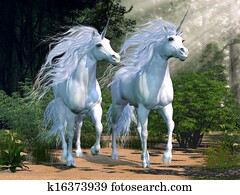 Enchanted Forest Enchanted Forest